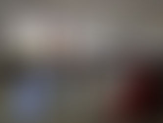 巴尼亚卢卡大学孔子学院举办首届汉语教学研讨会