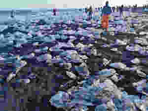 La Diamond Beach