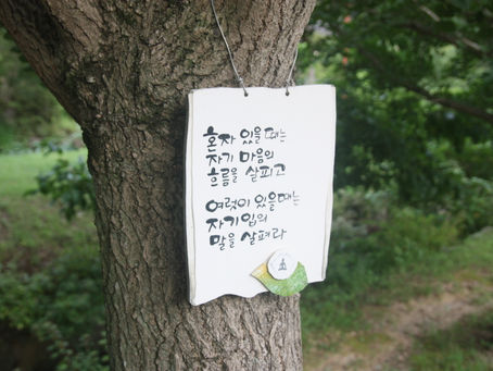 [사진여행] 혼자일 때와 여럿이 있을때... 