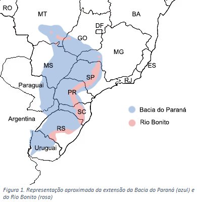 Incêndio causado por raio na Bacia do Paraná formou fósseis com detalhes microscópicos content media