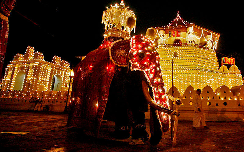 Festivals and Culture