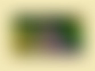 Video Player UI Design