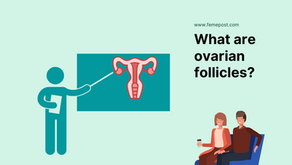 What are ovarian follicles?