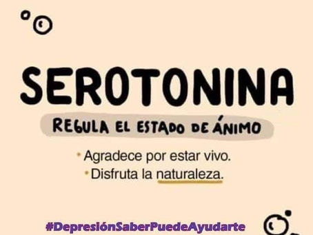 CÓMO ESTIMULAR LOS QUÍMICOS DE LA FELICIDAD EN TU CEREBRO - SEROTONINA