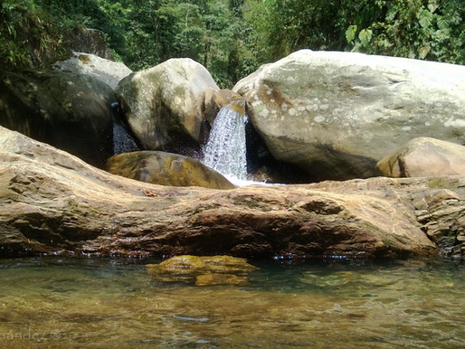 ¡Reconéctese con la naturaleza!
