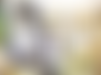 Status Update (January 2019)