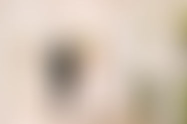 Liza + Holt's Classic Romantic Wedding at the Marriott St. Louis!