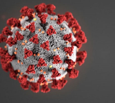 Family Action Network Movement JOINS 283 ORGANIZATIONS TO DEMAND ADMINISTRATION EXPAND ACA TO  DACA