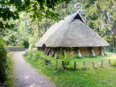 The Evolution of the Heathen Longhouse