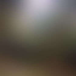 「原初の光への帰還・聖なる契約起動」