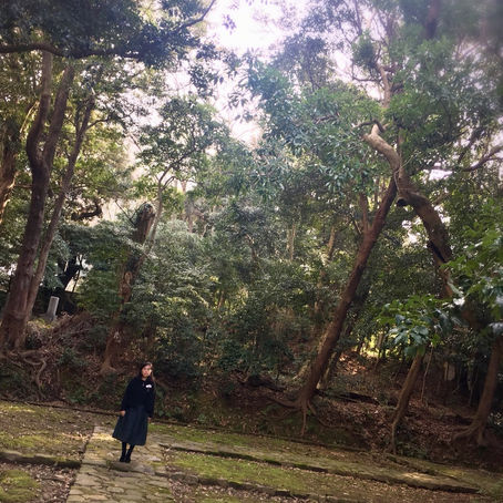 「原初の光への帰還・聖なる契約起動」