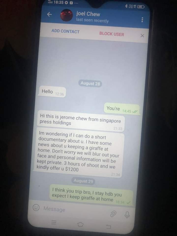 A Jerome Chew purportedly from SPH wants to film some dude whom he thinks rears a giraffe in his HDB flat LOL content media