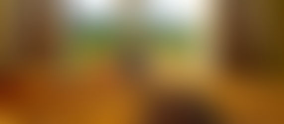 Gone But Not Forgotten