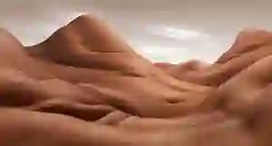 paysage en nourriture