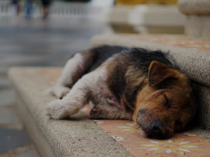 Investment tips that can help you sleep at night