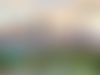 Traveling to and within Denver