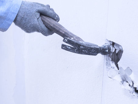 Vício Oculto e Vício Aparente.