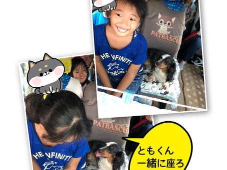 今日のすみれ
