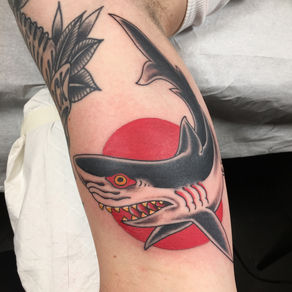 Requin