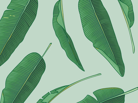 Greenzago si racconta