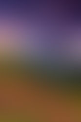 AT THE END OF THE RAINBOW