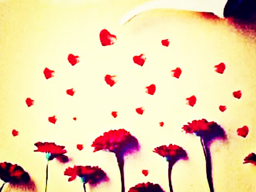 A nossa vulnerabilidade tem o poder de gerar coragem! 