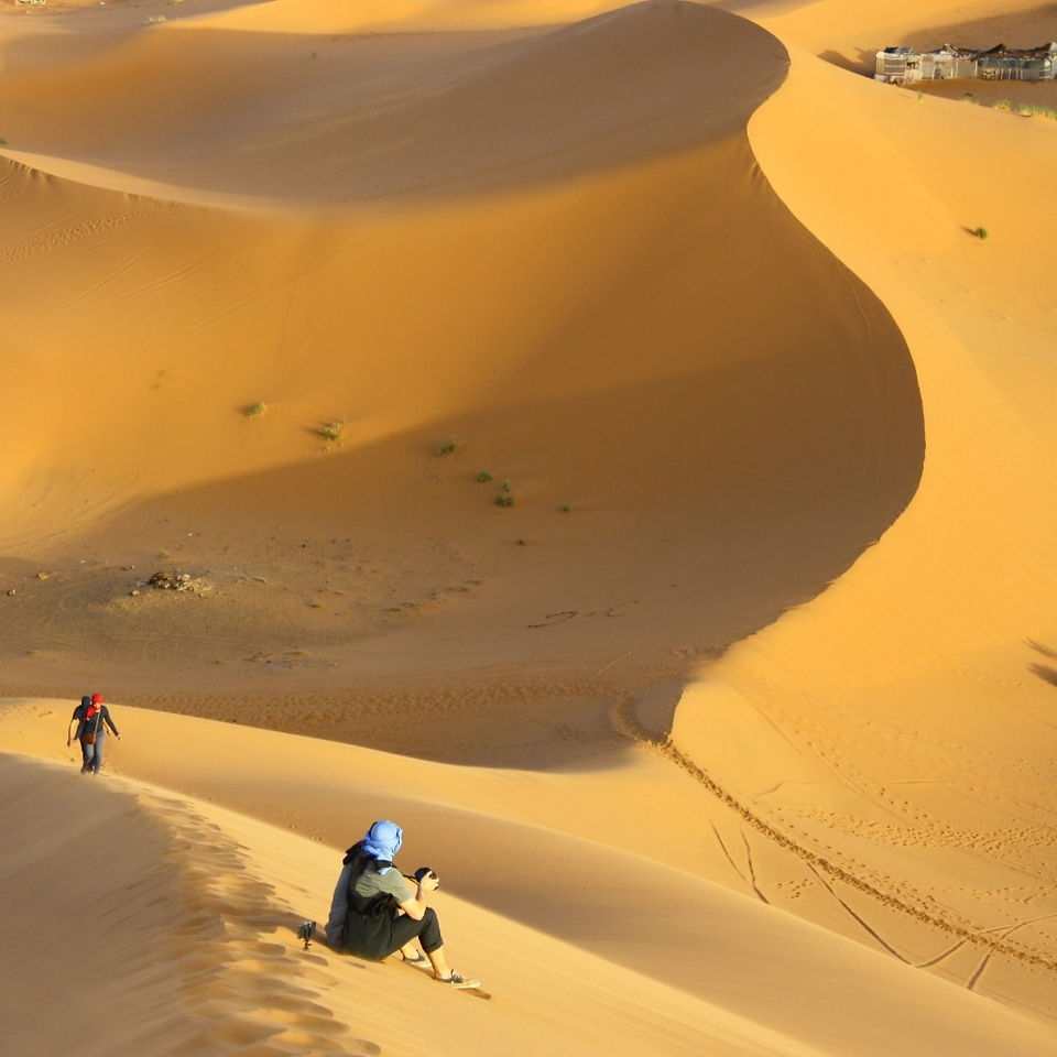 Sahara Desert Sand Dunes