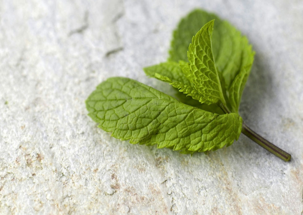 Peppermint a secret key