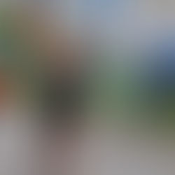 Kevin Lewis, Tyler and Katy Jermann, Meghan Peyton to Compete at USA 15k Championships