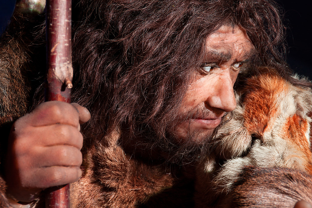 l'homme de Neandertal , histoire , science , coureur , sprinter