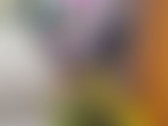 今月の小町≪小規模紹多機能ホーム紹介≫~麻姑の小町伊島~