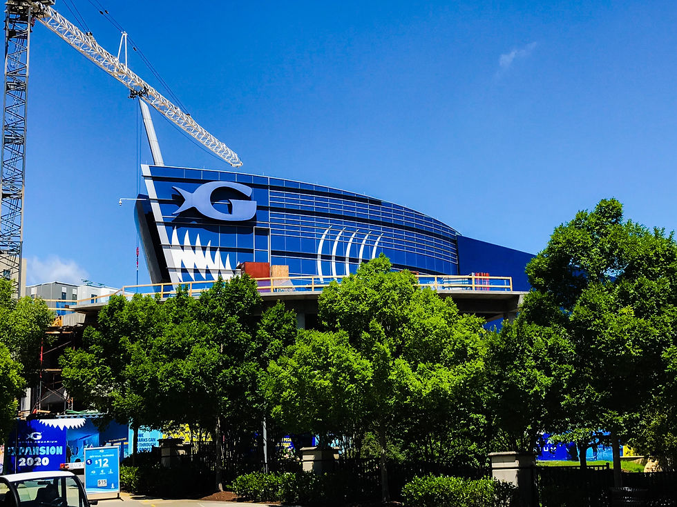 Georgia Aquarium. Photo by Richard Tulloch.