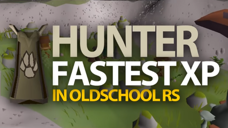 Fastest Hunter XP in OSRS (ft. Thurco)