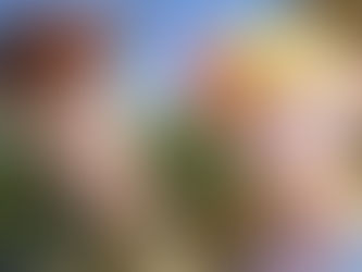 Toy Story 4: una película para los fans de siempre (crítica y análisis sin spoilers).