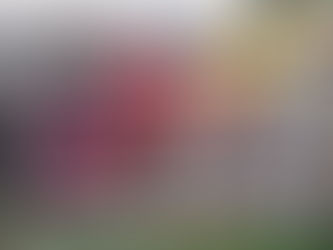 Spooky Little Bat Pattern