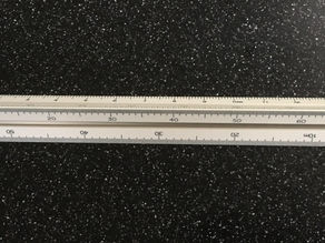 定規に興味津々