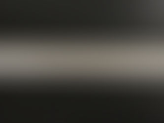 定規に興味津々