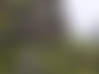 ויה ספלוגה - משווייץ לאיטליה צביה נילי ומיכל יוני 2019