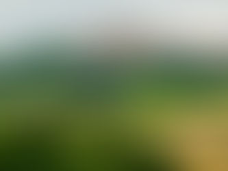 Les 7 merveilles de Vezelay