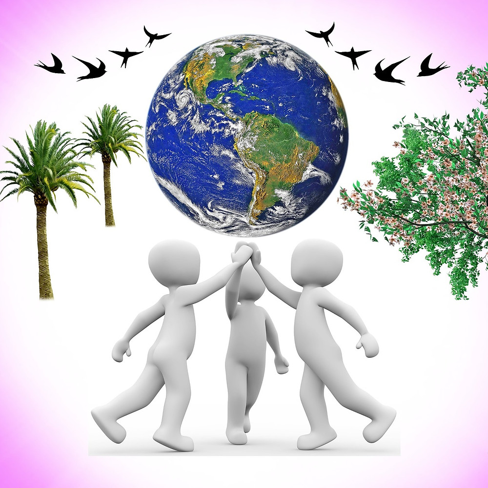 Picture from Pixabay