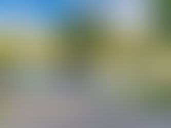 Harvard Ave Estate Sale - Nov. 20-21, 2020