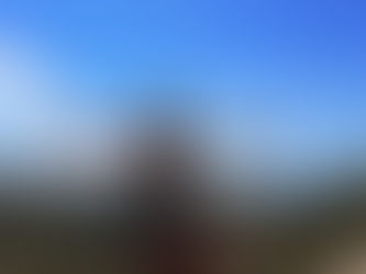 Costa Rica: A Biodiversity Paradise by Amanda Urcuyo