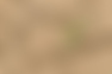 فلما فصلت العير
