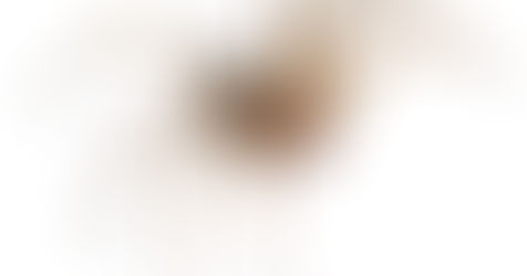 LA ARAÑAS DE RINCÓN SE DUPLICARÁN O TRIPLICARÁN EL PRÓXIMO AÑO