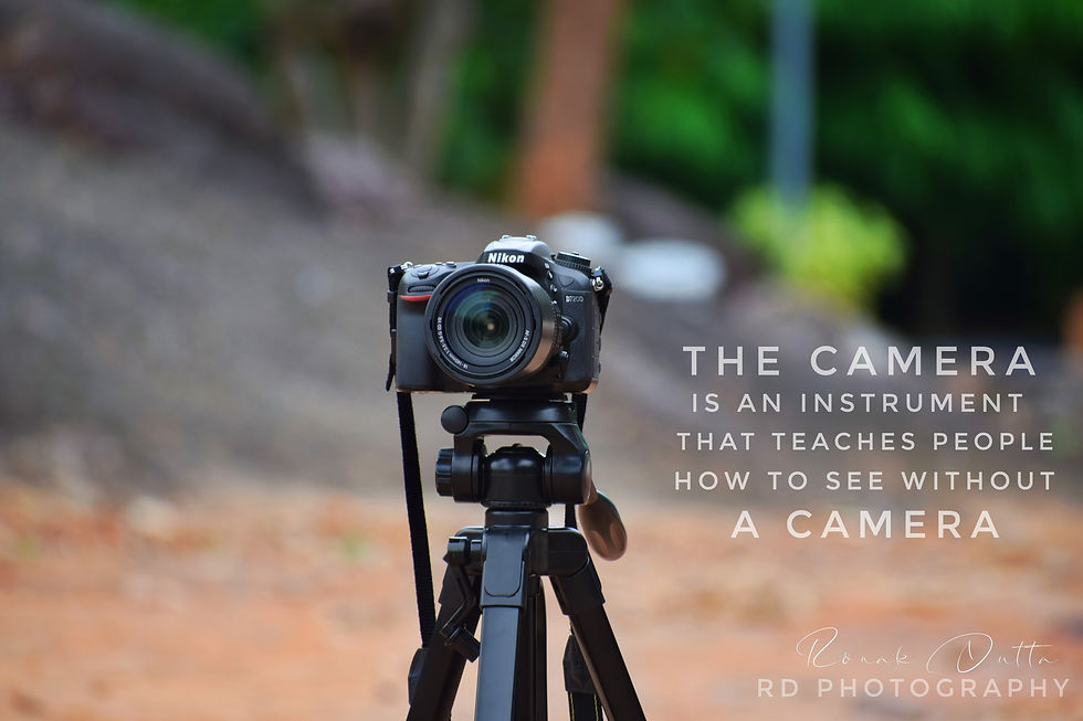 ''The camera is an instrument that teaches people how to see without a camera.''