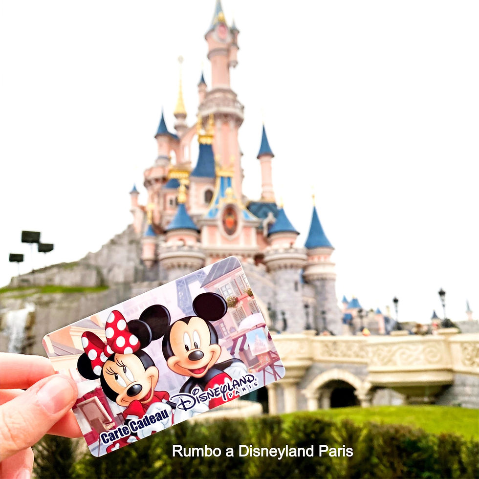 Las tarjetas regalo de Disneyland Paris Gift Card Carte Cadeau