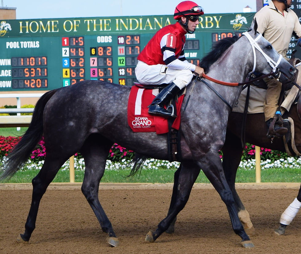 Unbridled Class, winner of the Merrillville Stakes, at Indiana Grand Racing & Casino