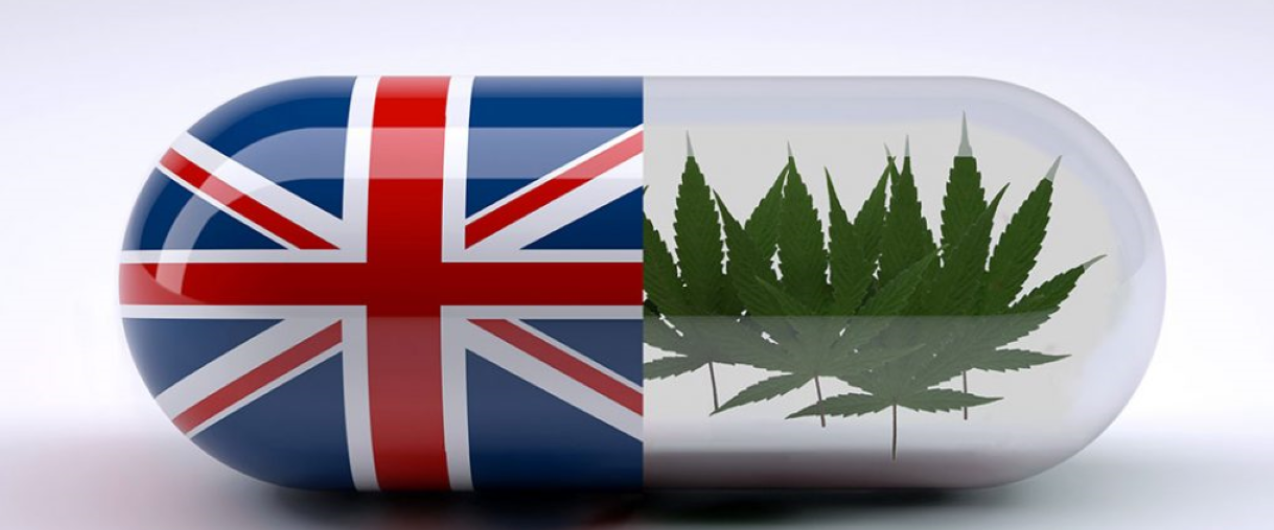 buy weed online UK content media
