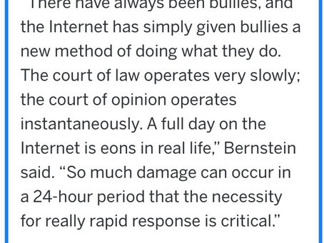 Fear of Online Bullying