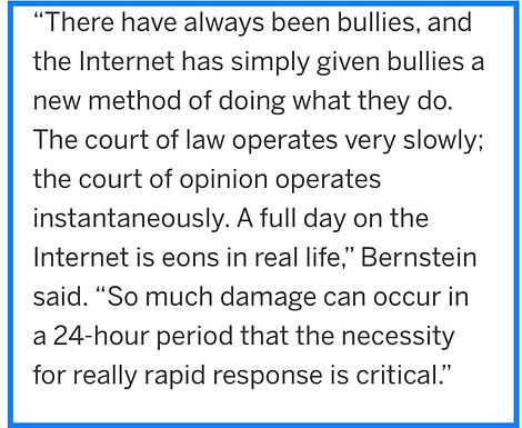 Fear of Online Bullying